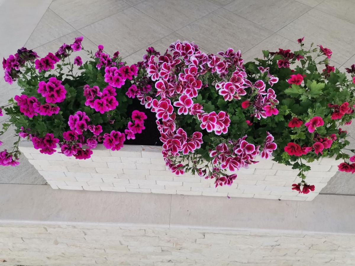 Hotel Resedinta Printeselor Vadu Zewnętrze zdjęcie